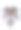 特写照片的彩虹彩色无花果叶与白色的背景图片下载
