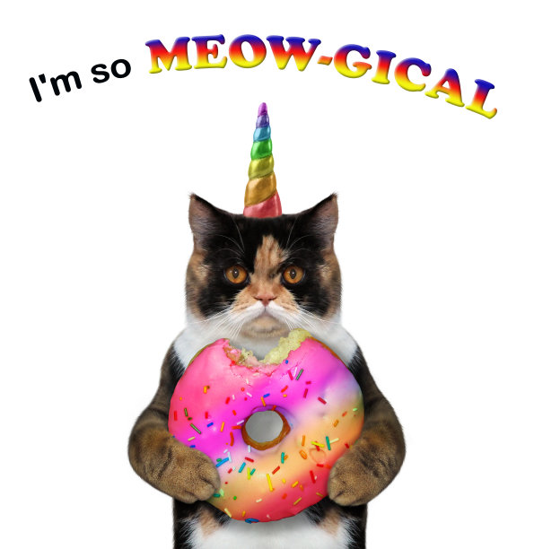 独角兽猫有一个甜甜圈图片下载