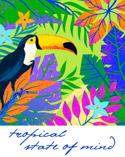 夏季矢量插图与明亮的热带叶子，花和巨嘴鸟图片下载