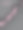 剪纸抽象背景。娇嫩的粉红色小花勿忘我。黑色的花图案。海报、横幅、手册。向量图片下载