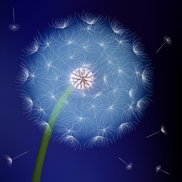 蒲公英的蓝色背景艺术矢量天空图片下载