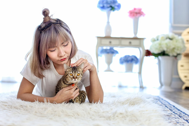 泰猫在女人的怀抱中躺在羊毛地毯上。年轻的女人躺在床上，抱着她美丽的猫。美丽的年轻女子和可爱的猫躺在羊毛地毯在家里。图片下载