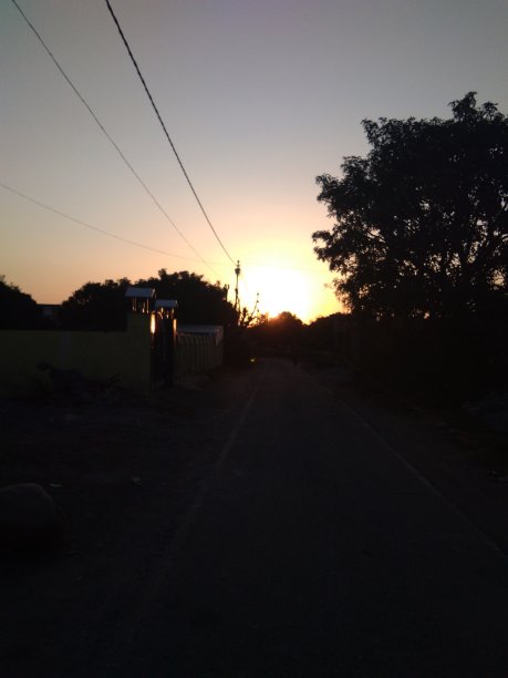 日落与树影图片下载