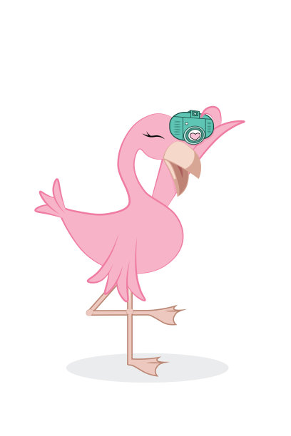 可爱的粉红色火烈鸟与相机插图孤立在白色图片下载
