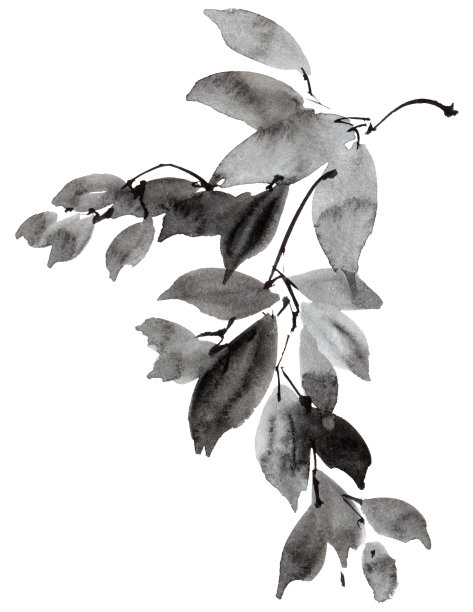 水彩画的树叶图片下载