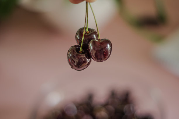 新鲜樱桃的图片下载