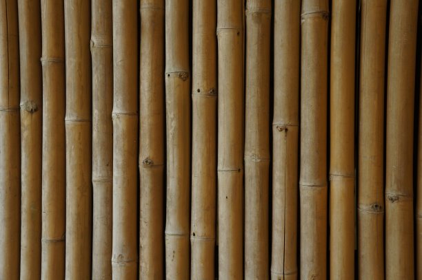 天然竹子背景图片下载