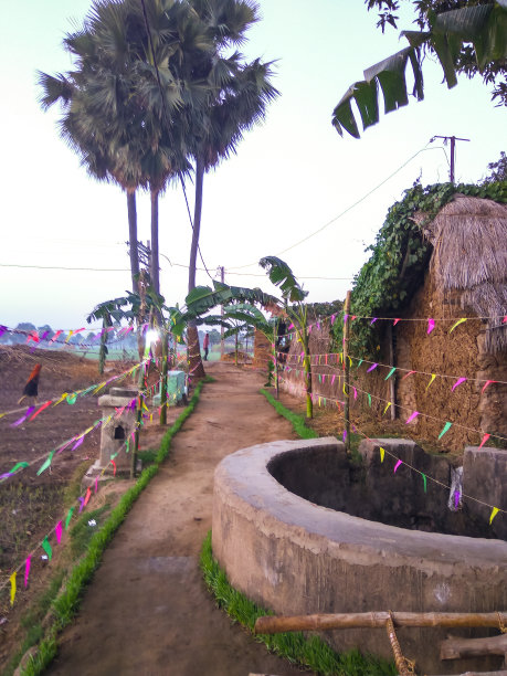 印度乡村节日装饰图片下载