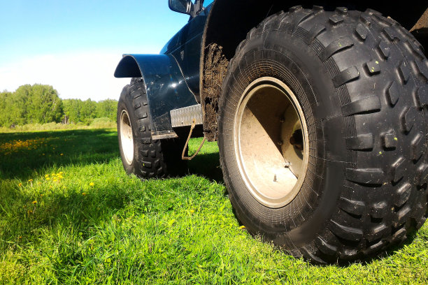 在蒲公英和森林的绿色草地上车轮的特写，蓝色的天空在背景上。图片下载