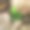 植物从石头中生长出来图片下载