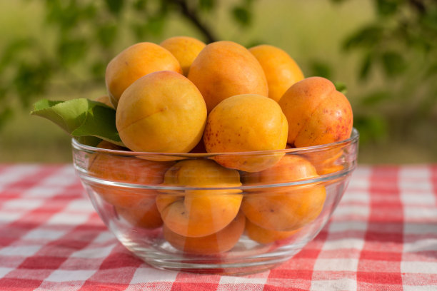 成熟的大杏靠近。图片下载