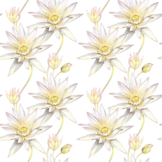 无缝图案与花莲花和藻类。图片下载