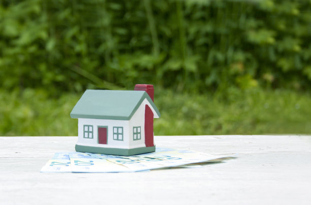 这栋房子印在20欧元钞票上。概念上的照片。房地产、投资、抵押贷款图片下载