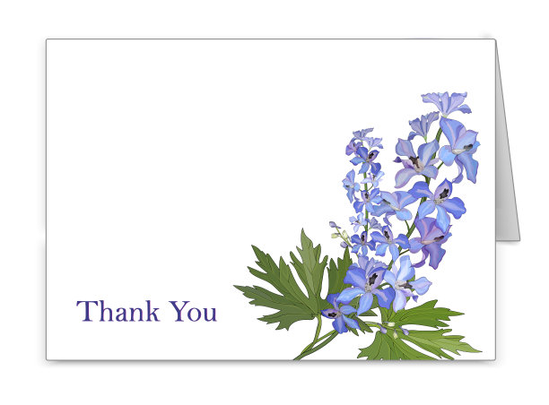 明信片水平与一束花飞燕草。向量图片下载