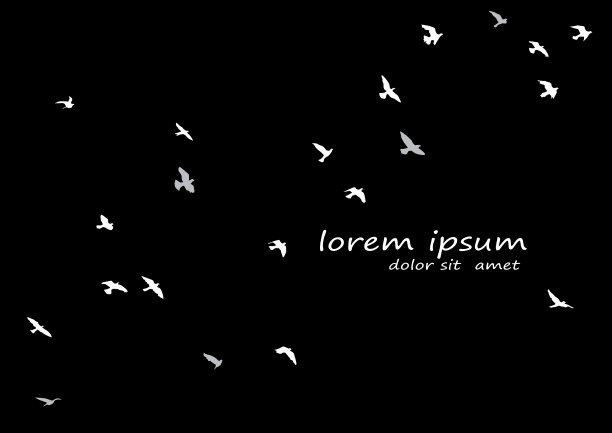 一群飞鸟的剪影图片下载