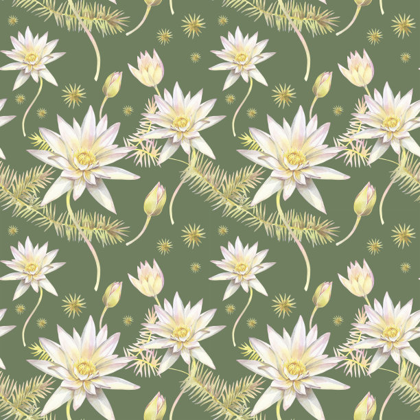 无缝图案与花莲花和藻类。素材图片