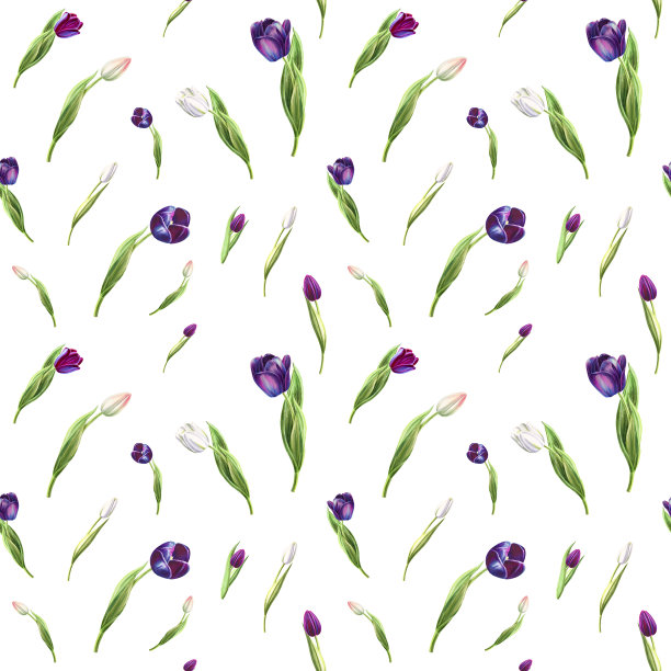 美丽的黑白郁金香无缝图案。花收集。标记图。水彩画。墙纸。图片下载