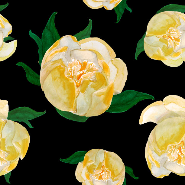 水彩手绘黄色日本牡丹在黑色的背景。图片下载