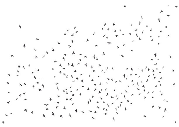 一群飞鸟的剪影。图片下载