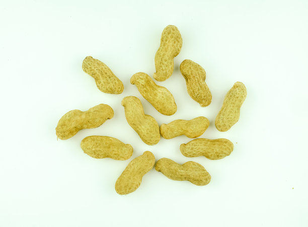 带壳干花生荚图片下载