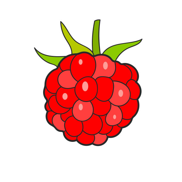 树莓素描矢量为您的设计，贺卡图片下载