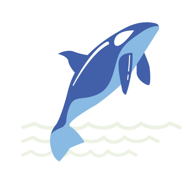 白背景上的鲸鱼图片图片下载