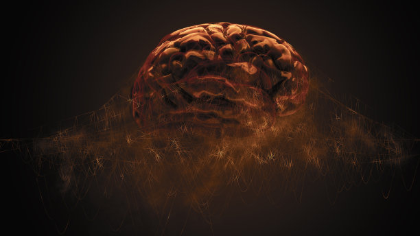 大脑被蜘蛛网包裹着图片下载