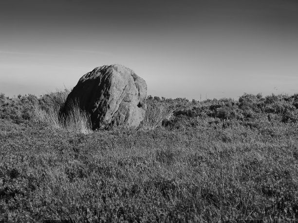 在西约克郡草丛覆盖的荒原上，一个巨大的单一巨石的单色黑暗大气图像图片下载