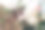 节日餐桌上美丽而时尚的白色和粉色花束的特写图片。图片下载