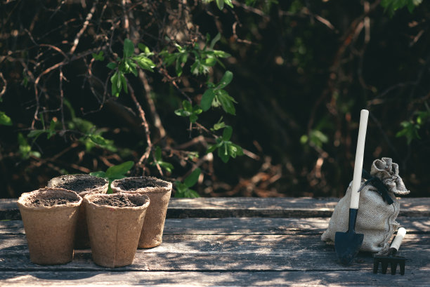 园艺。图片下载