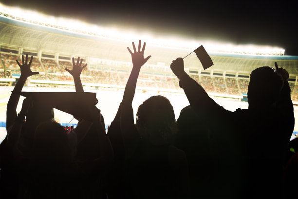 在体育场内，人群欢呼雀跃图片下载