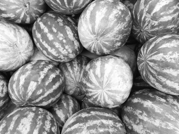 绿色大西瓜在夏季出售。从以上观点。图片下载