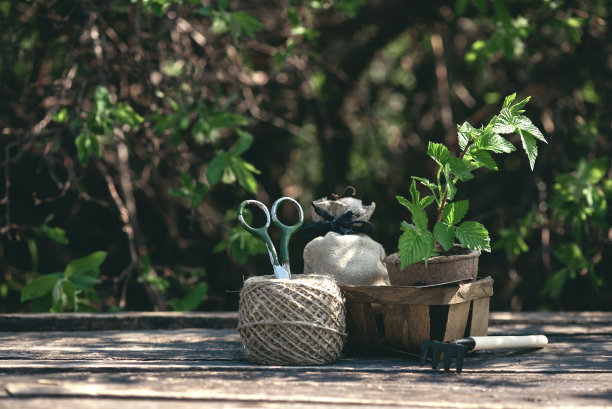 园艺。图片下载