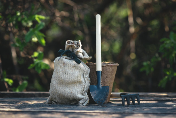 园艺。图片下载