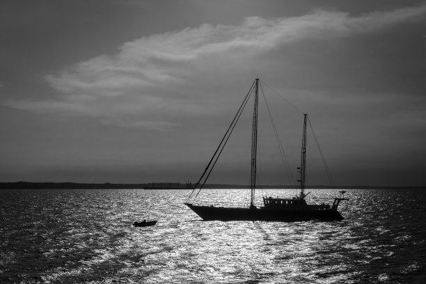 背光照片的帆船航行在海洋图片下载