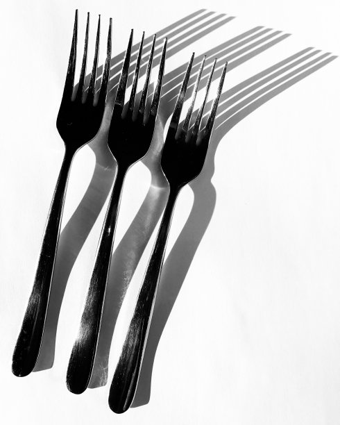 树叉放在白色的桌子上图片下载