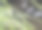 在没有聚焦背景的山河旁边的绿叶的选择性聚焦图片下载