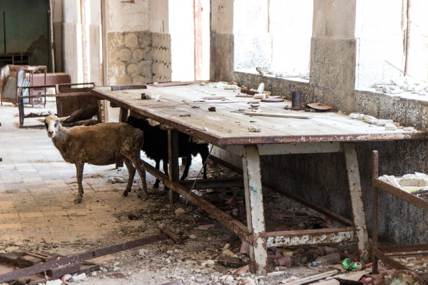 大自然收回建筑图片下载