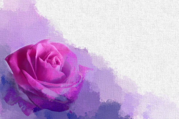 粉红色玫瑰的艺术插图图片下载