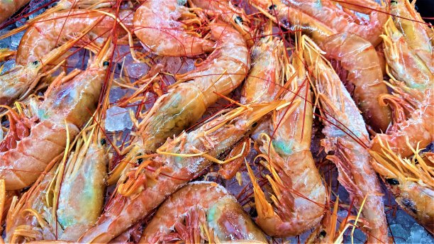 虾制自然抽象图案(日文ebi)图片下载