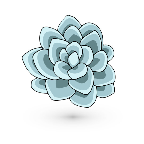 粉色的多汁eheveria。涂鸦艺术矢量孤立的白色背景图片下载