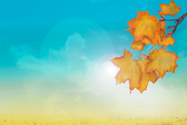 秋天的天空背景。秋天的模式。副本的空间。图片下载