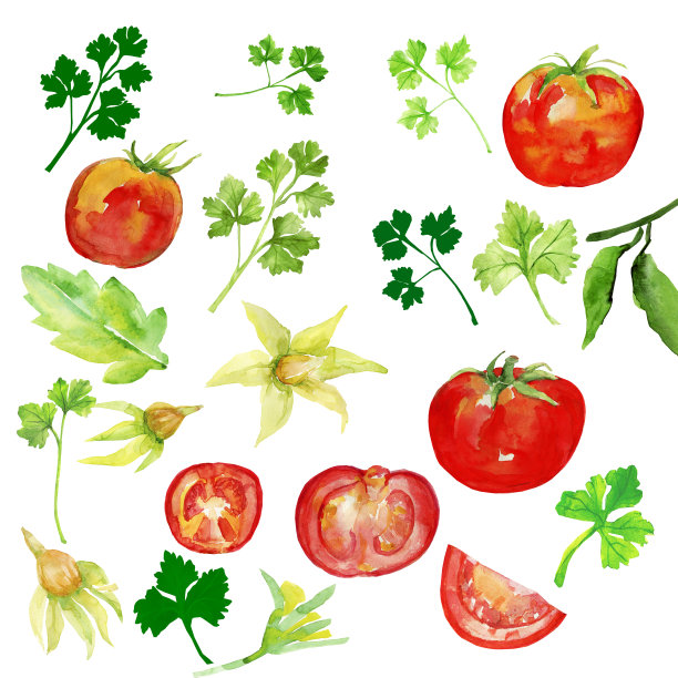 大自然的礼物图片下载