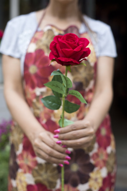 女人捧着玫瑰花束图片下载