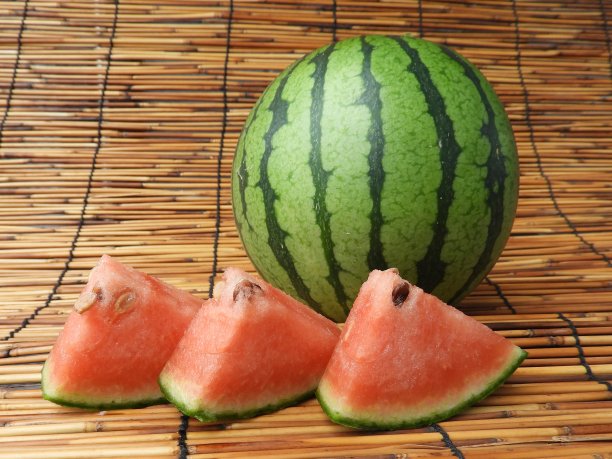 西瓜4图片下载