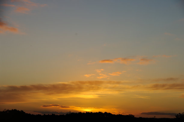 Brunssummerheide的金色日出图片下载