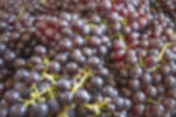 红葡萄模糊背景图片下载