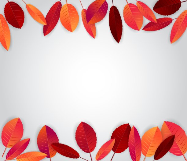 秋季背景与红色和橙色的树叶和自由的文字空间。矢量插图。图片下载