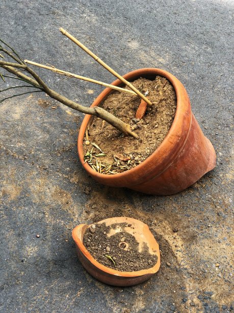 破碎的花盆图片下载