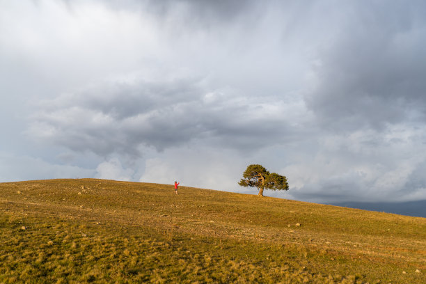 秋天田野景观图片下载